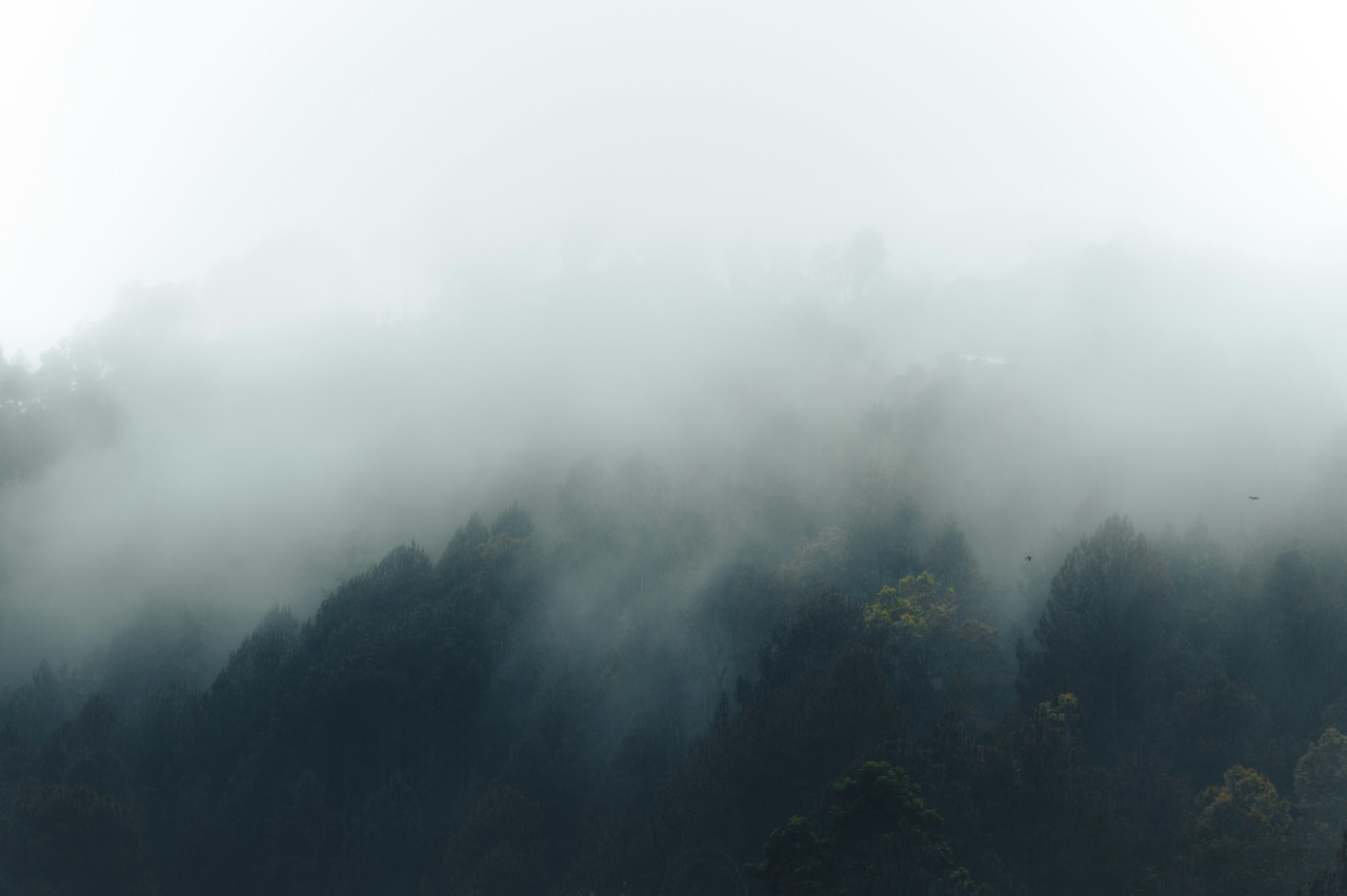 a foggy mountain with trees in the foreground, Ultra