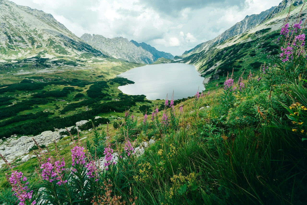 a lake in the middle of a mountain range, Standard