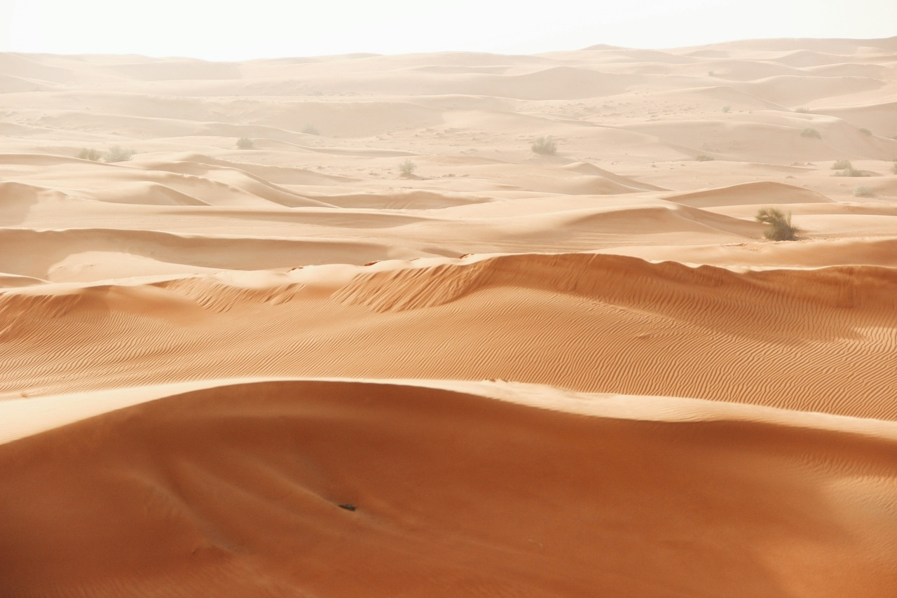 brown desert field, Ultra