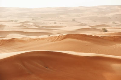 brown desert field, Ultra
