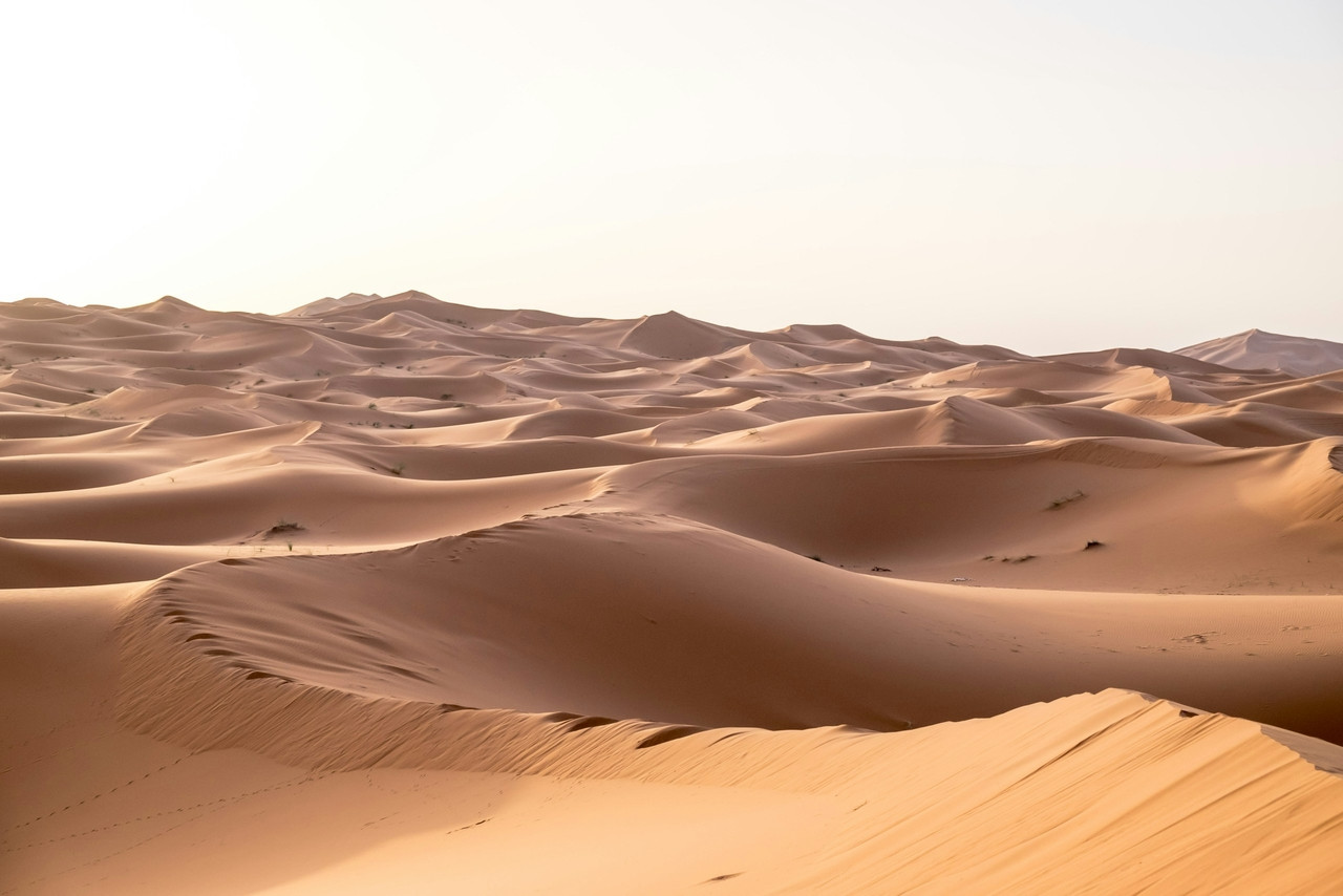 brown desert, Ultra