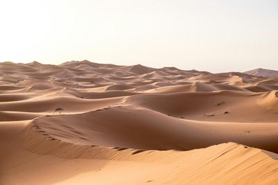 brown desert, Ultra