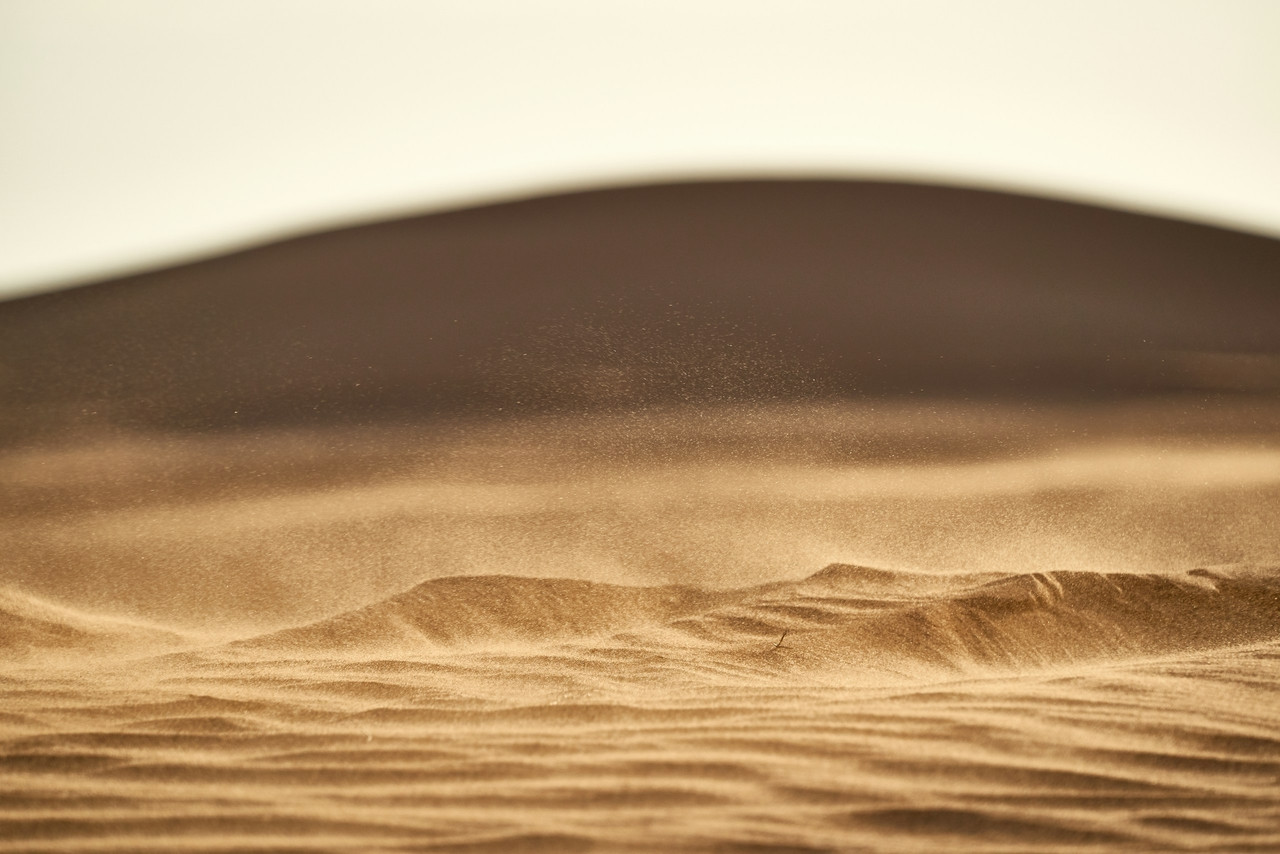 brown sand in closeup photography, Ultra