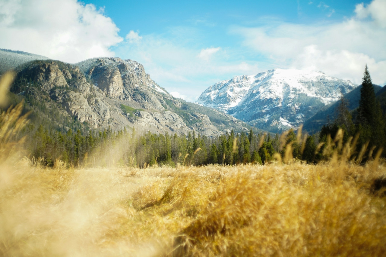 field of brown grasses within mountain range, Standard