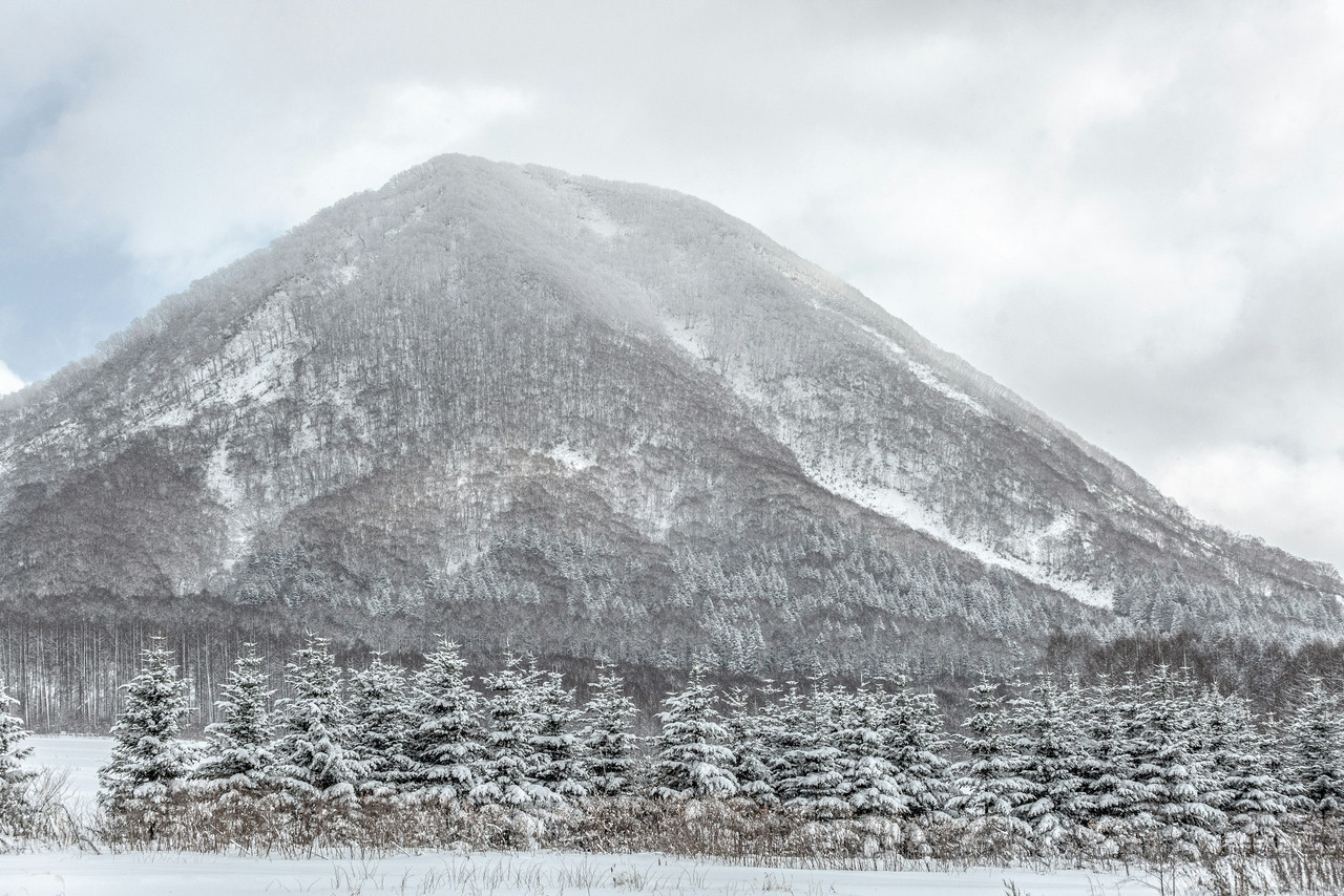 gray mountain, Standard