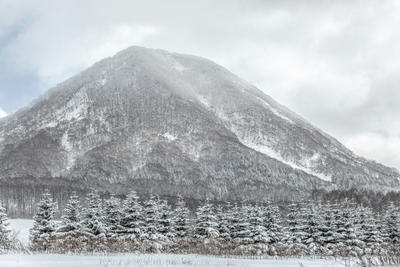 gray mountain, Standard