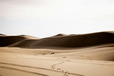 Sand dunes stretch into the distance under a pale sky, Standard