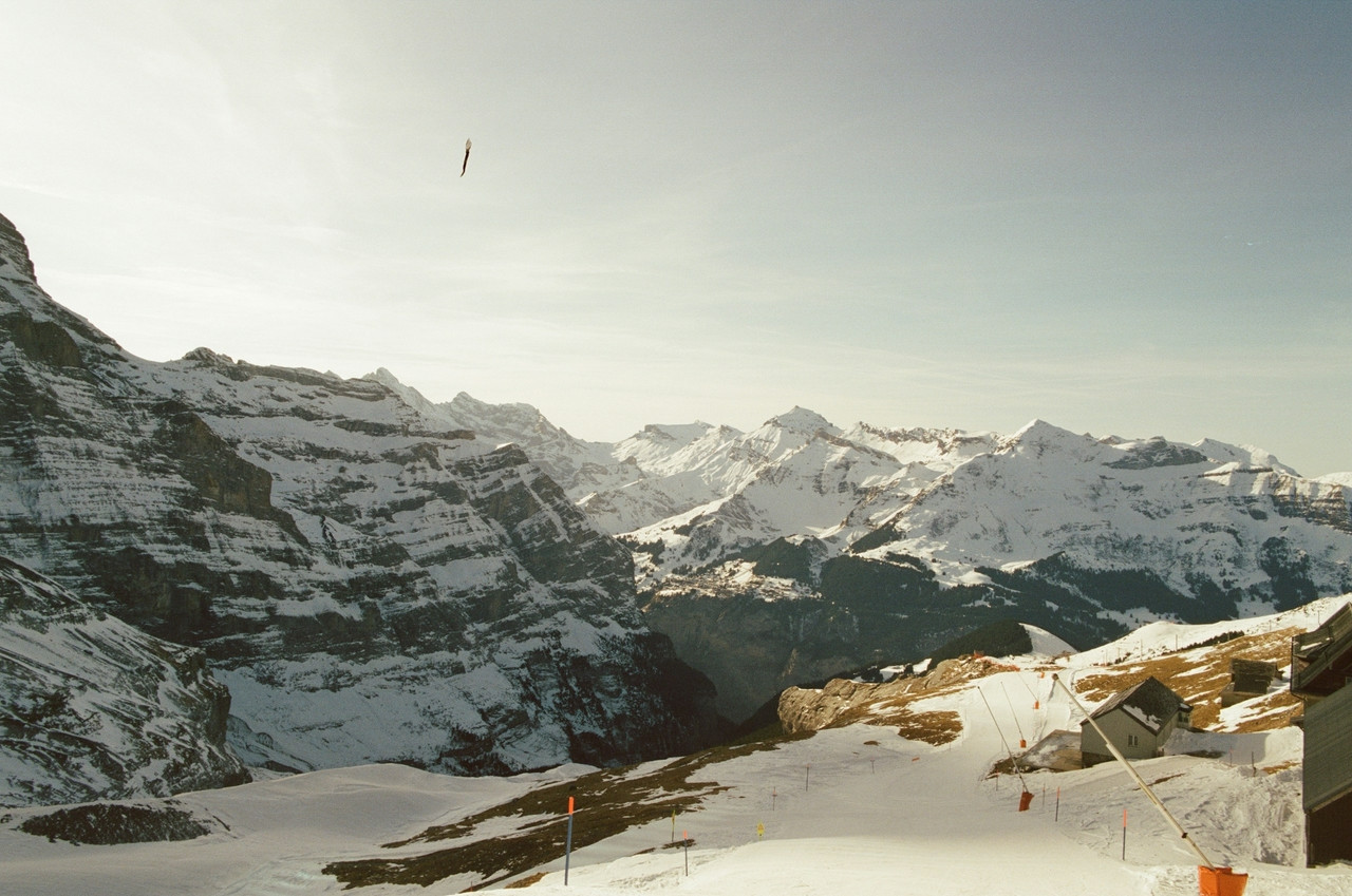 Snow-covered mountain range under a bright sky with buildings, Standard