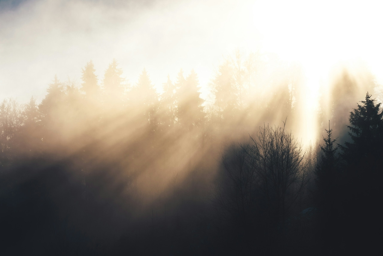 The sun is shining through the clouds over the trees, Standard