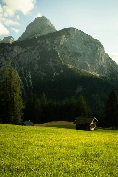 Wooden cabin in a lush green meadow before a mountain, Standard